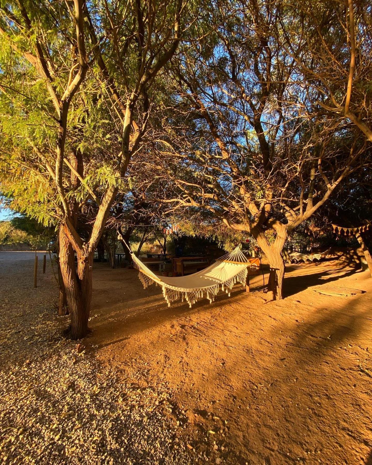 Caminandes Hostal Bed & Breakfast San Pedro de Atacama Exterior photo